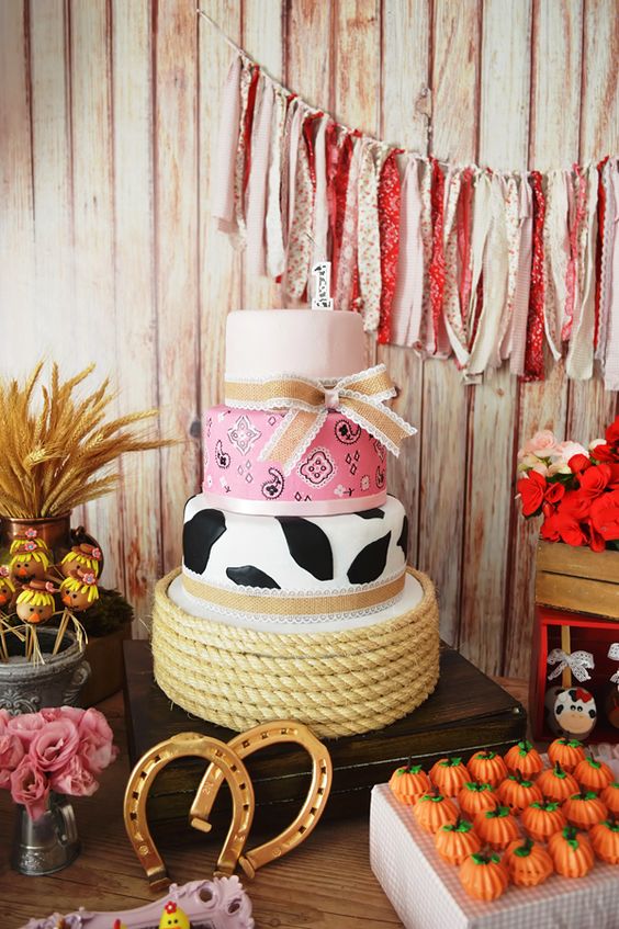 festa fazendinha decoracao menina